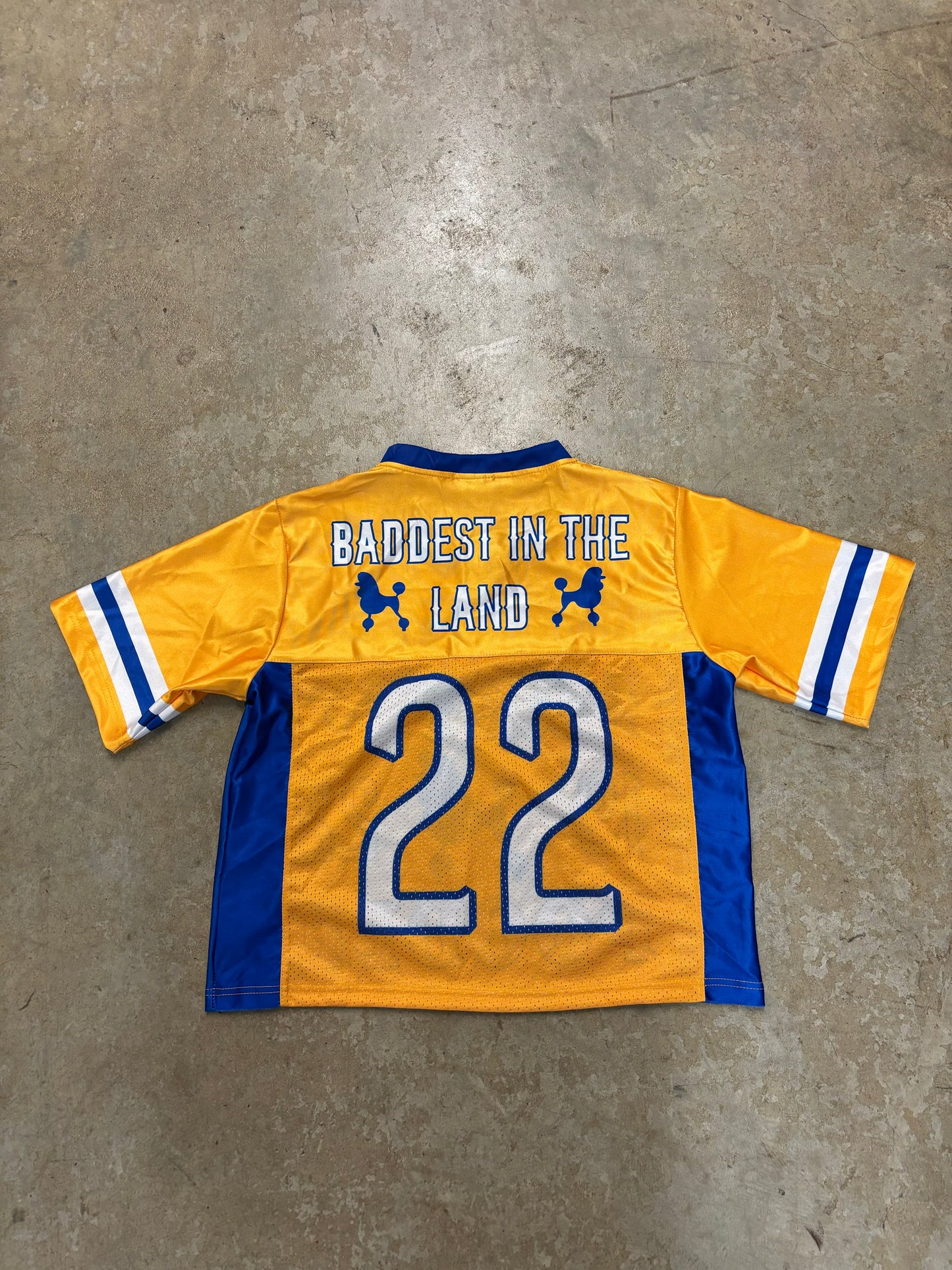 Pretty Poodle Jersey