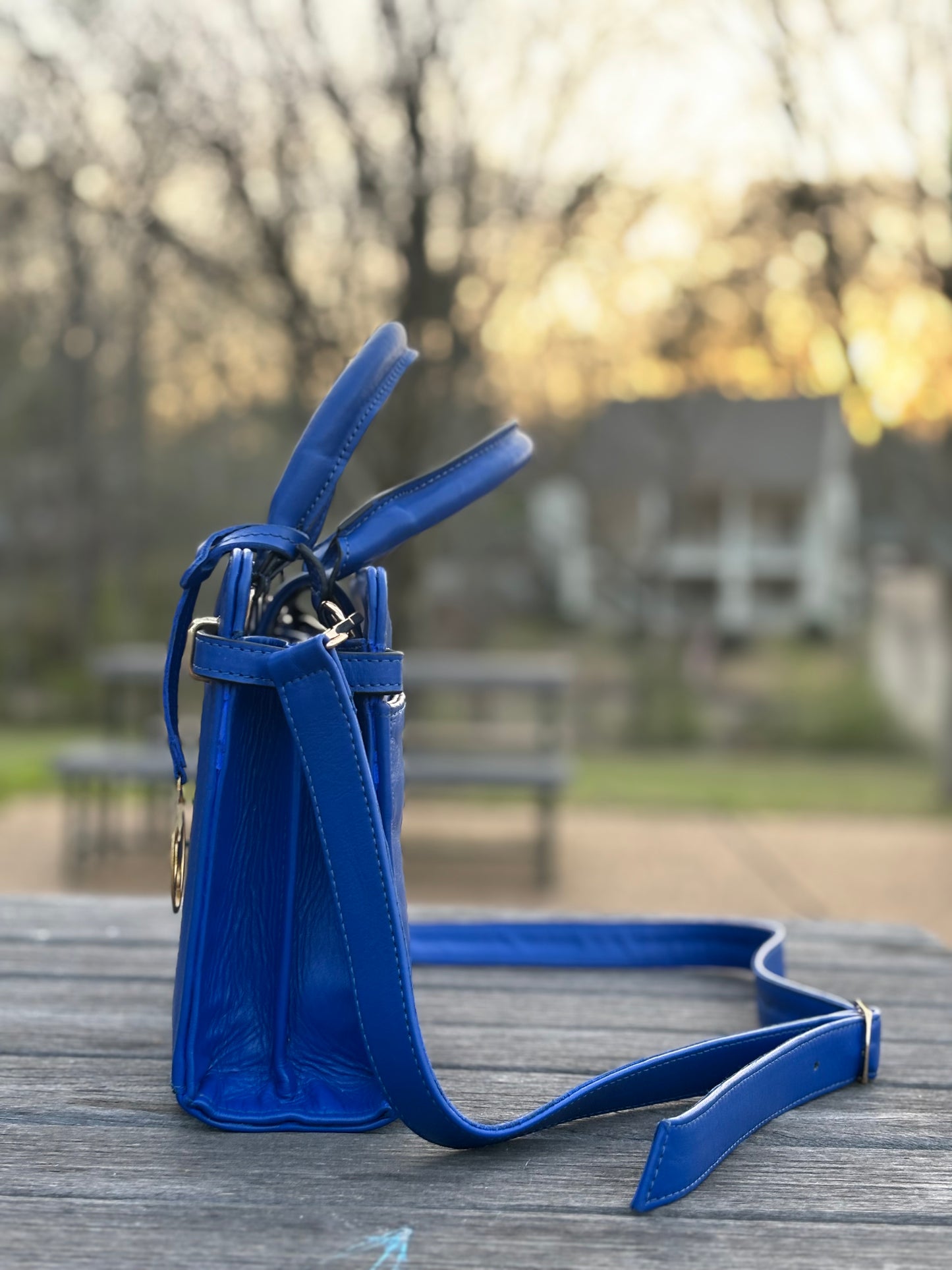 Rhoyal Reign Purse