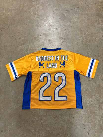 Pretty Poodle Jersey