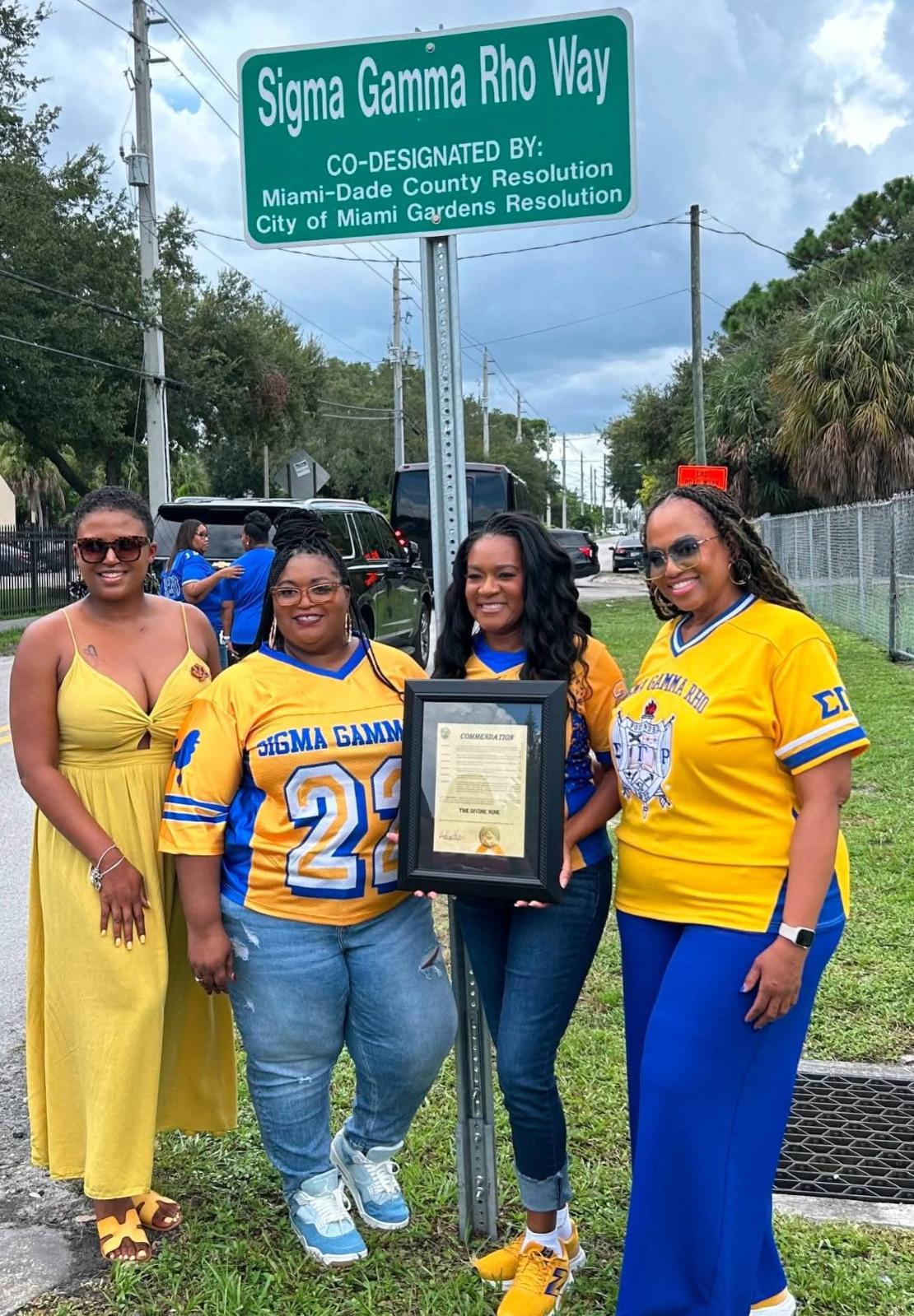 Sophisticated Jersey