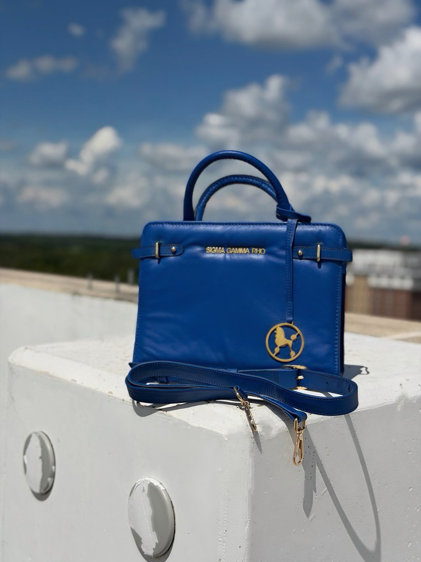 Rhoyal Reign Purse