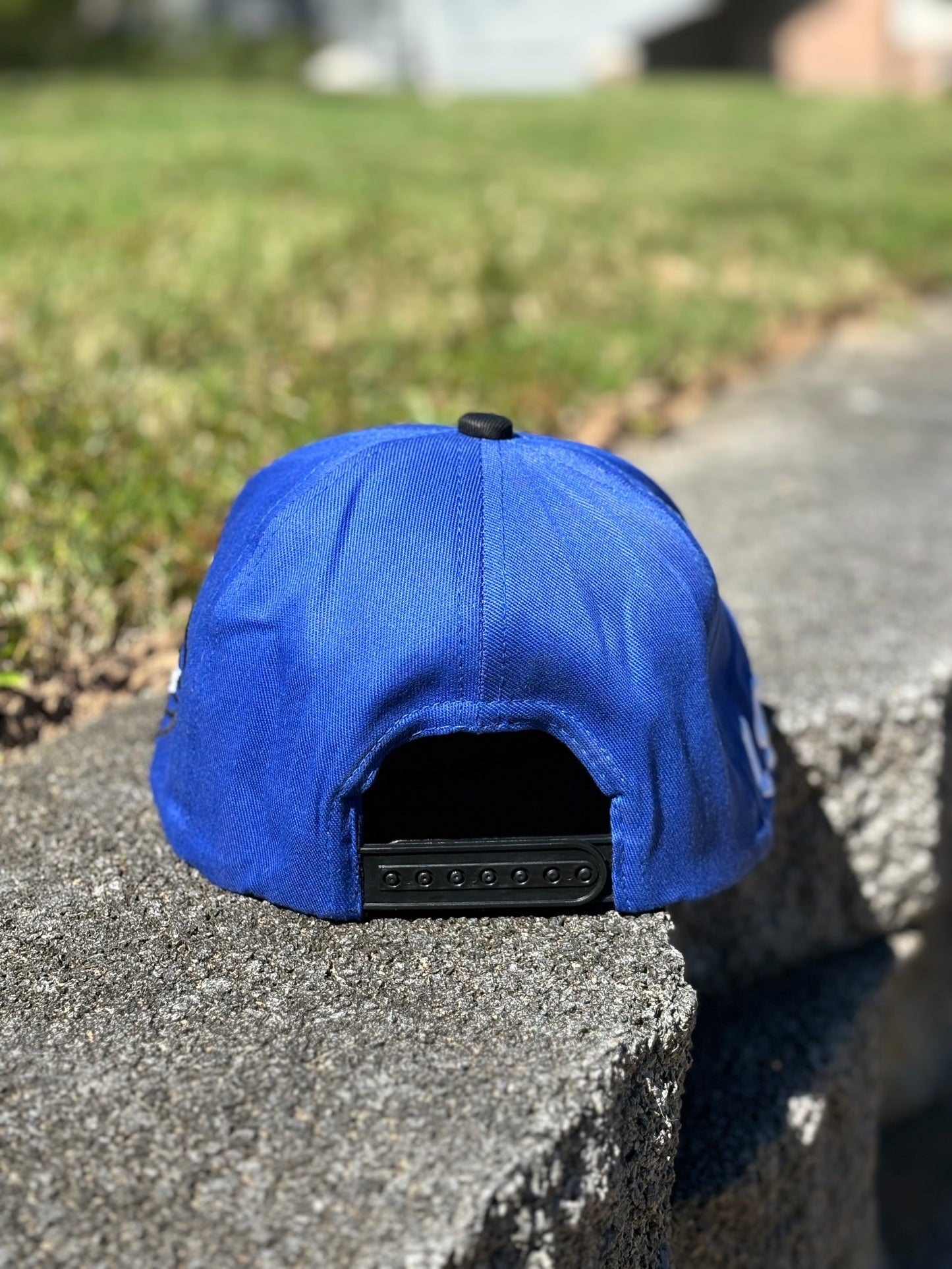 Blu-Phi SnapBack