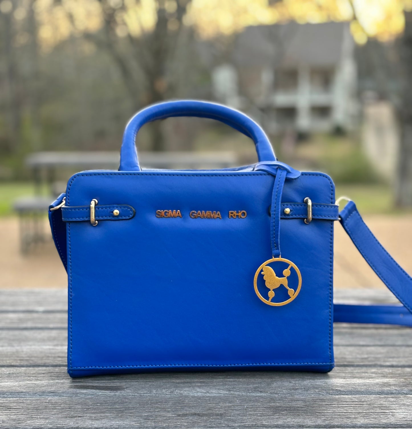 Rhoyal Reign Purse