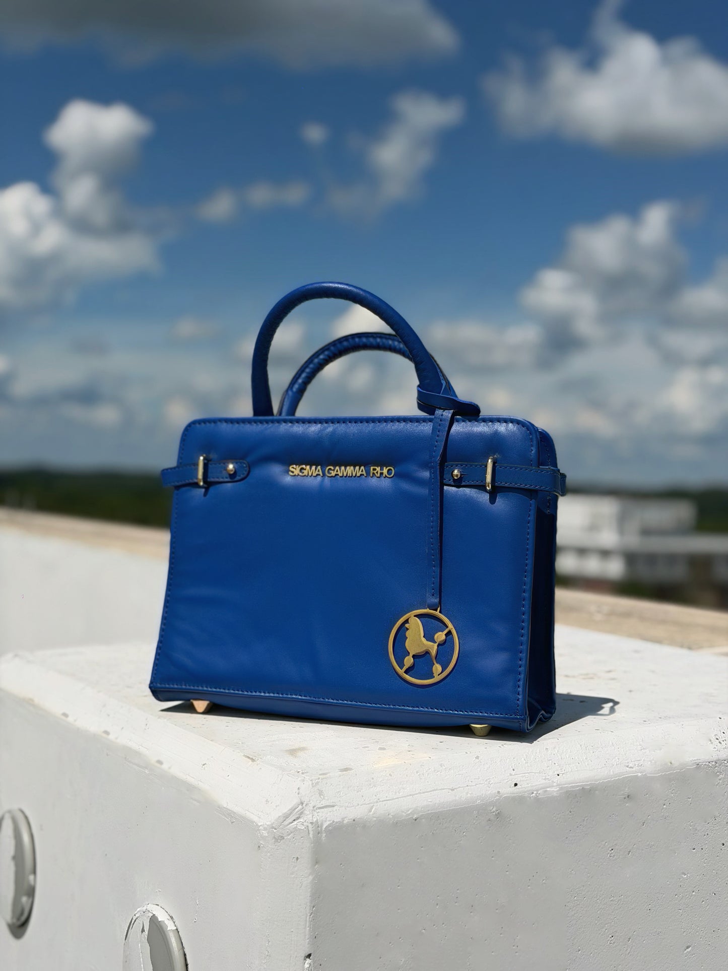 Rhoyal Reign Purse