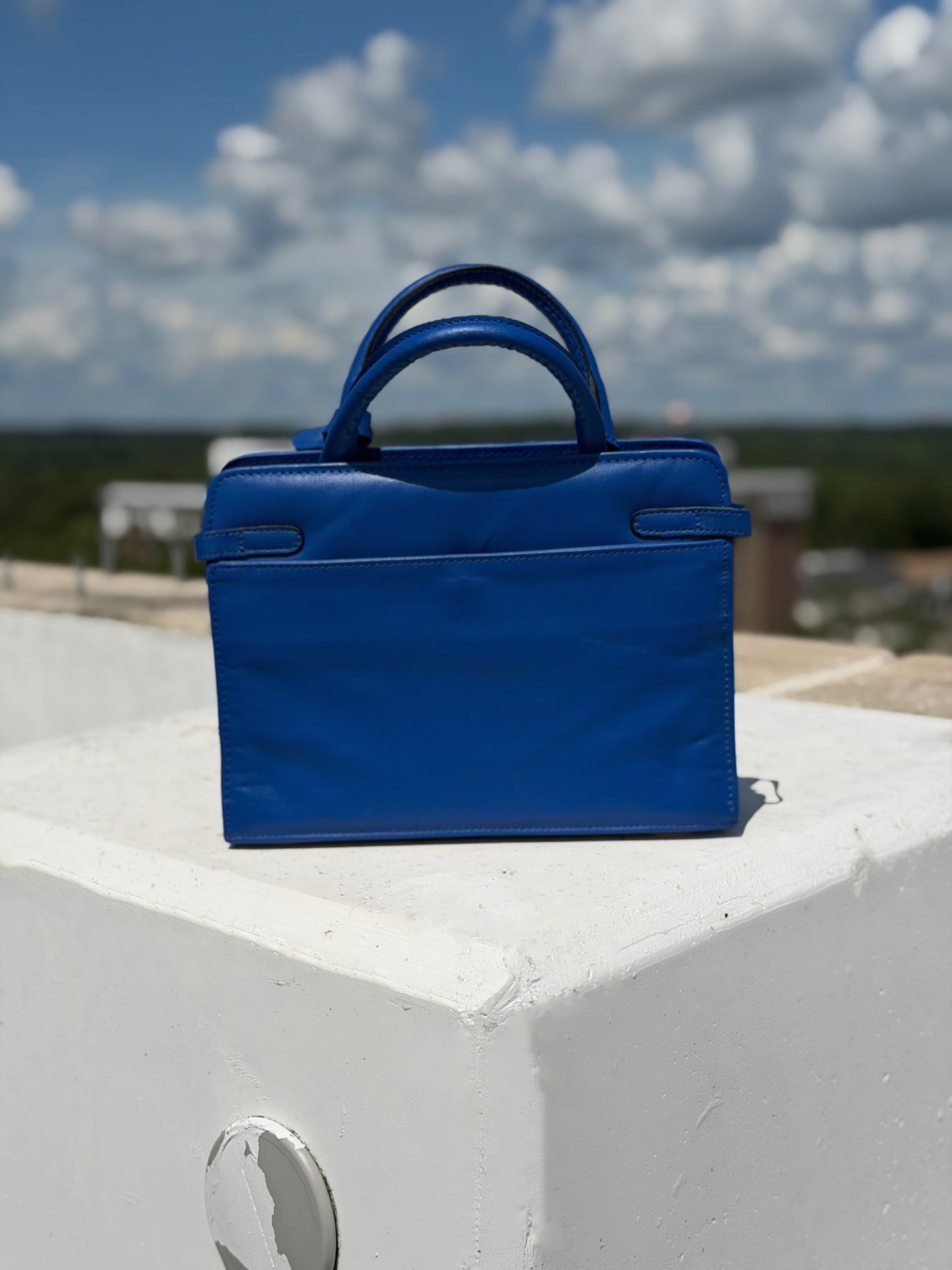 Rhoyal Reign Purse