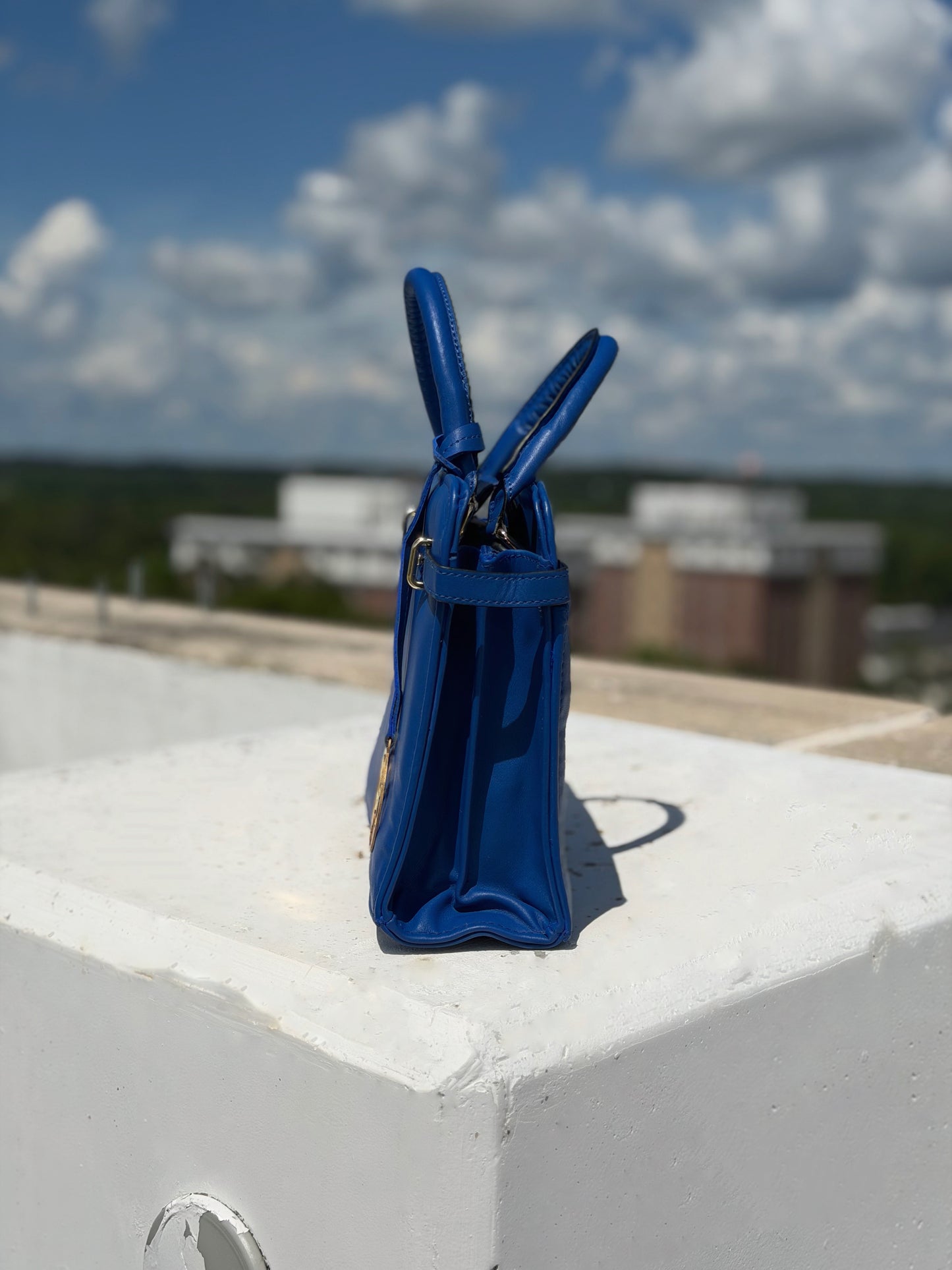 Rhoyal Reign Purse