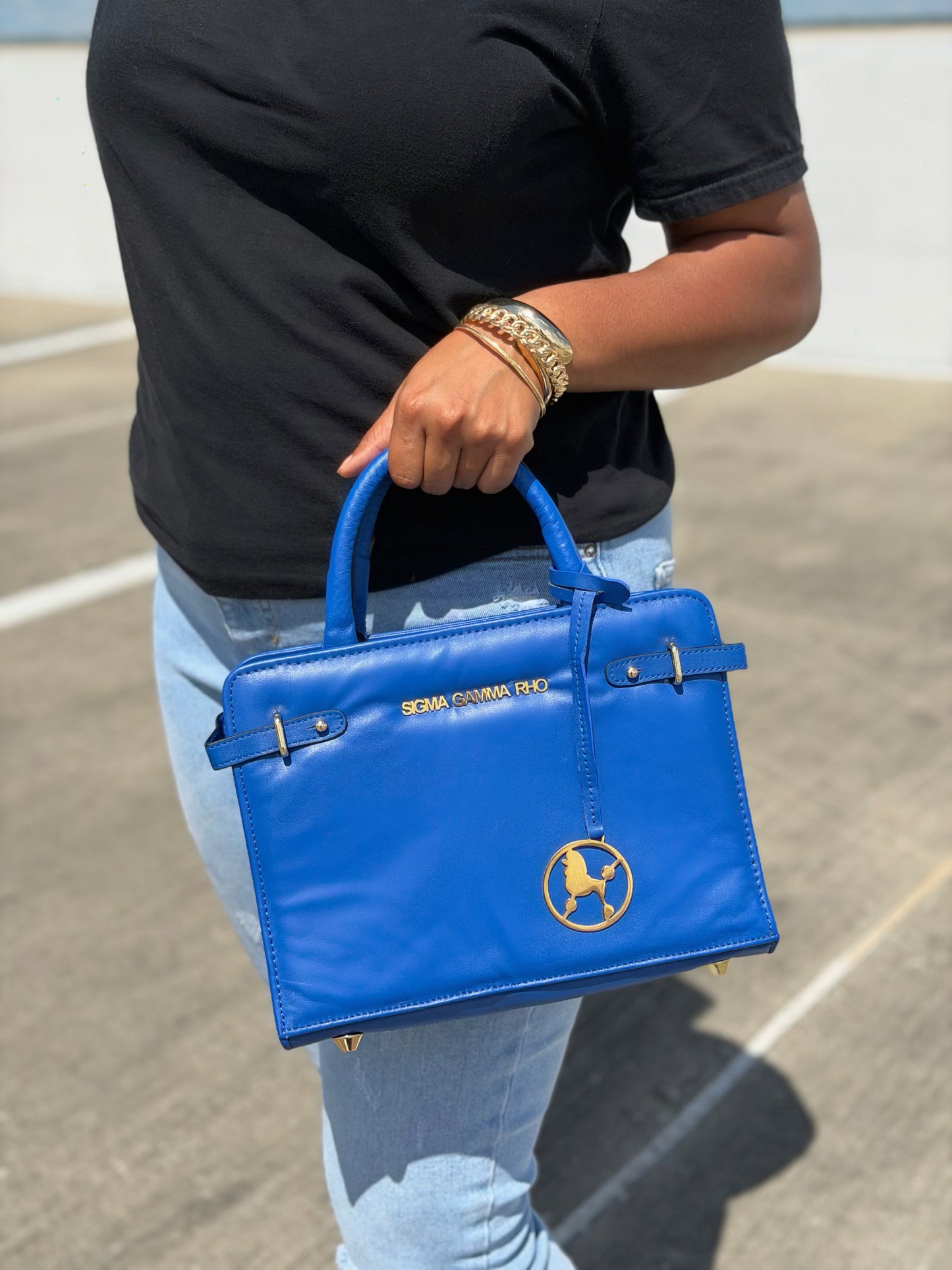 Rhoyal Reign Purse